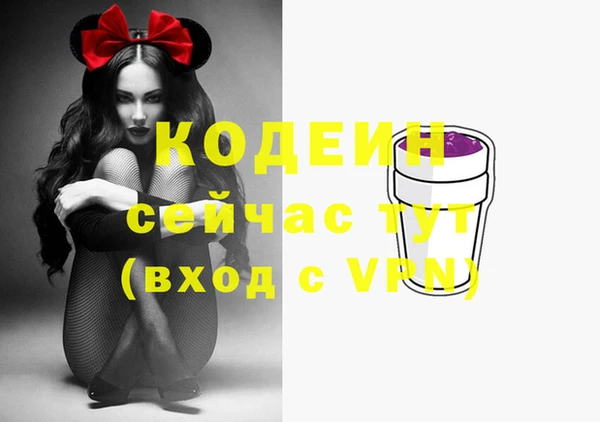 2c-b Горнозаводск