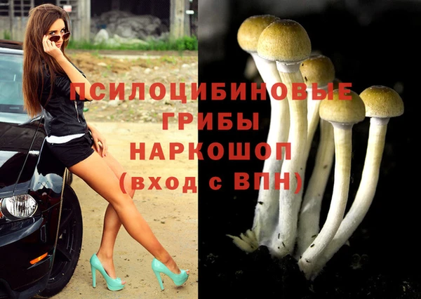 ешки Горно-Алтайск