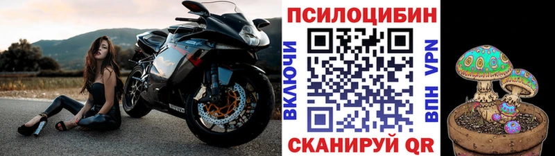 Псилоцибиновые грибы мицелий  купить наркоту  Мценск 