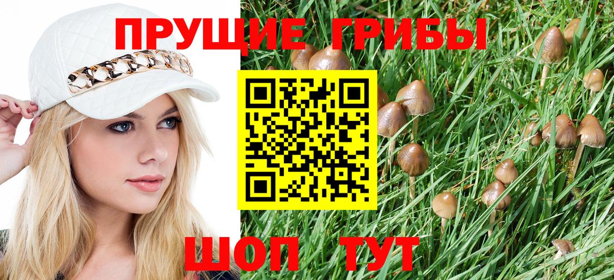 Псилоцибиновые грибы Psilocybine cubensis  Вход с VPN  Мценск 